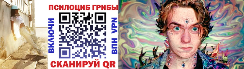 Псилоцибиновые грибы Cubensis Ивантеевка